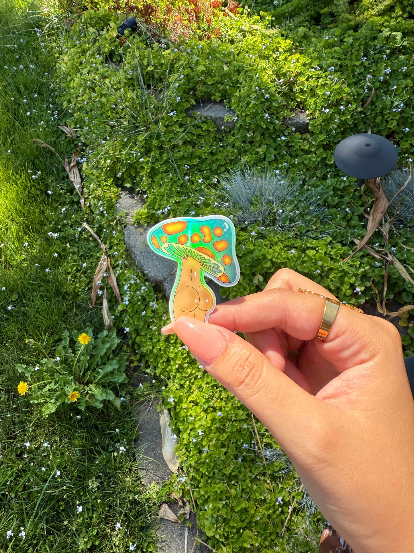 Thiccc Mushroom