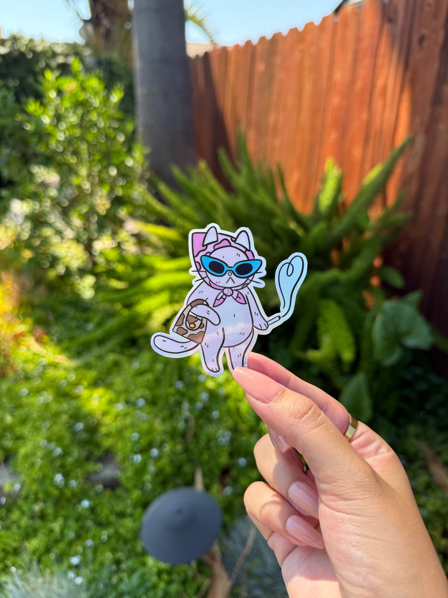 Cvnty Cat