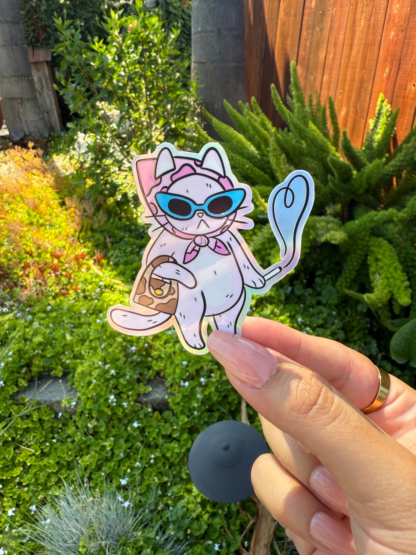 Cvnty Cat